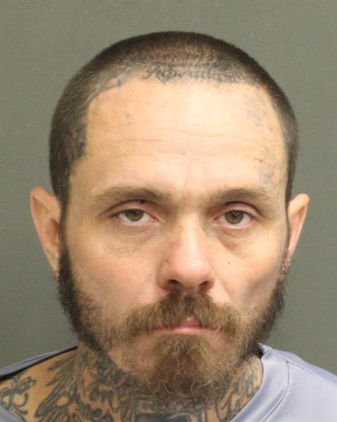  RICHARD GODDARD III DAVISON Mugshot / County Arrests / Orange County Arrests