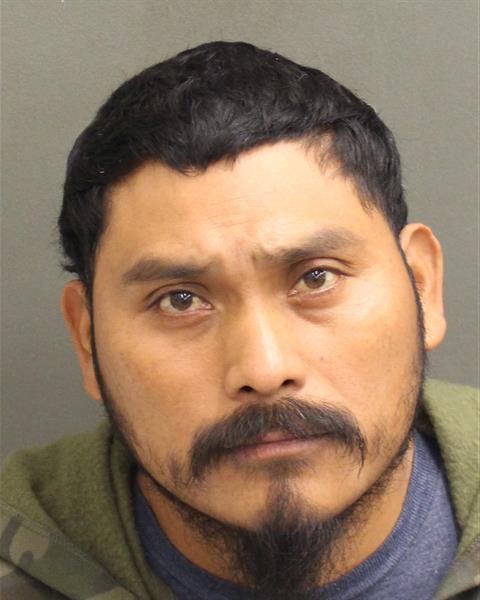  MARVIN LOPEZSALES Mugshot / County Arrests / Orange County Arrests