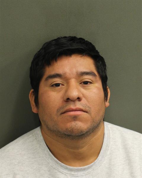  JULIAN SALASJACOBO Mugshot / County Arrests / Orange County Arrests