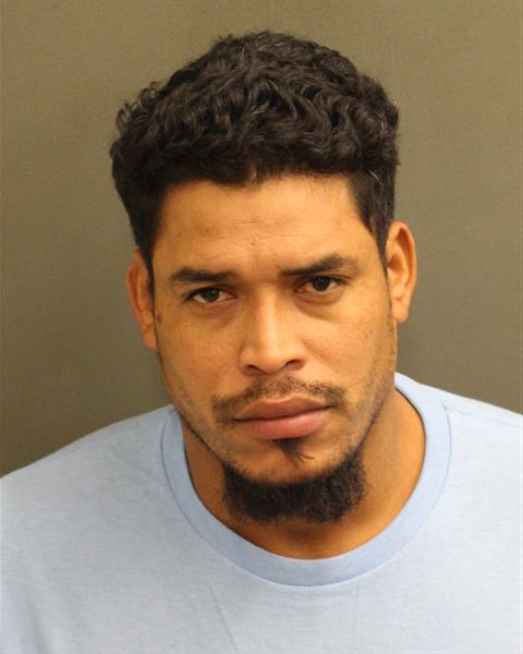  NELSON FELIPE ORELLANABUSTILLOS Photo Image