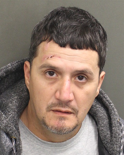  RICARDO ANTONIO MADERABAEZ Mugshot / County Arrests / Orange County Arrests