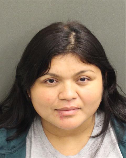  ANA LUZ LOPEZGONZALEZ Mugshot / County Arrests / Orange County Arrests