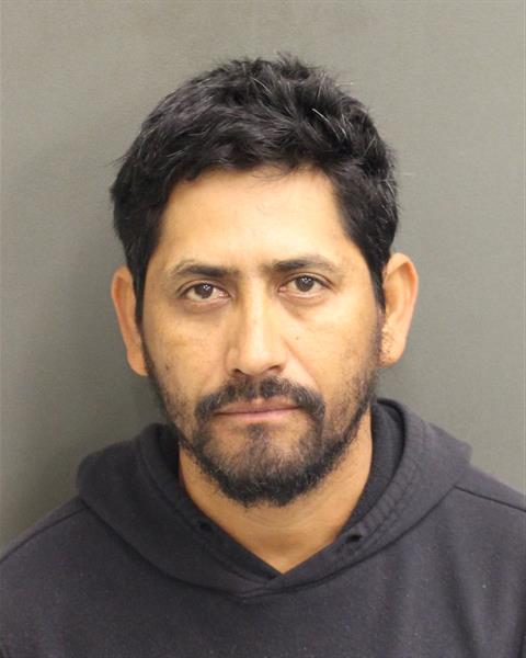  FIDEL PALACIOSMOLINA Mugshot / County Arrests / Orange County Arrests