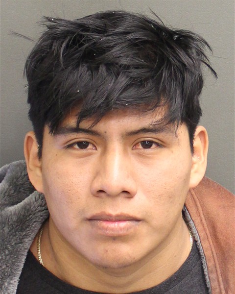  DANILO ANIBAL RAMIREZSALES Mugshot / County Arrests / Orange County Arrests