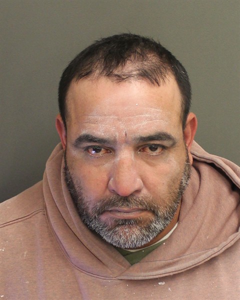  LUIS ARREOLASOLORZANIO Mugshot / County Arrests / Orange County Arrests