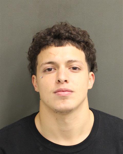  DIOGO PINTO LACERDA Mugshot / County Arrests / Orange County Arrests