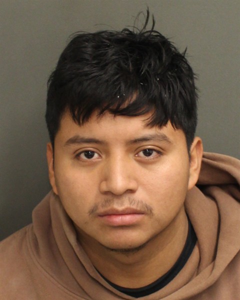  WILSON ELIZANDRO DOMINGOLOPEZ Mugshot / County Arrests / Orange County Arrests