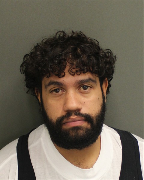  IRVING ENRIQUE PENAMATUTE Mugshot / County Arrests / Orange County Arrests