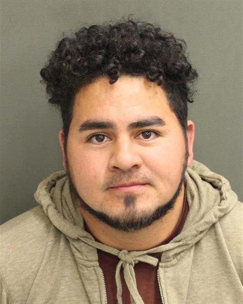  WALTER MAURICIO AYALAALVARDO Mugshot / County Arrests / Orange County Arrests