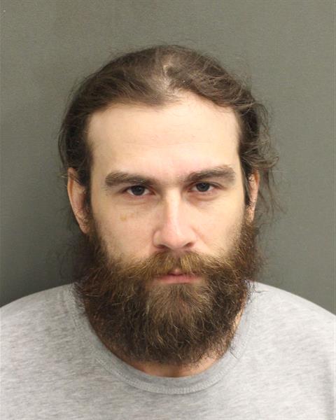  CHRISTOPHER REYES SALAS Mugshot / County Arrests / Orange County Arrests