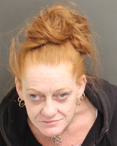  MICHELLE MARIE HODGES Mugshot / County Arrests / Orange County Arrests