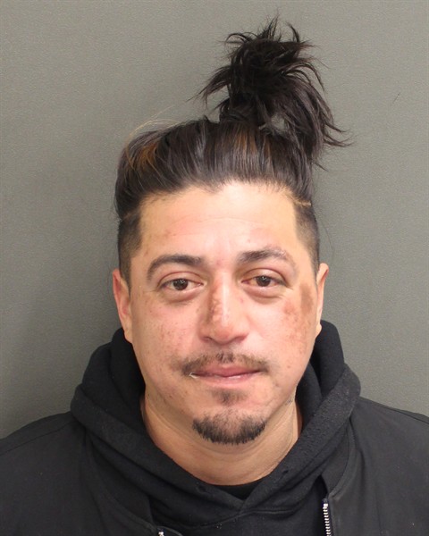  MIKE STANLEY FLORES Mugshot / County Arrests / Orange County Arrests