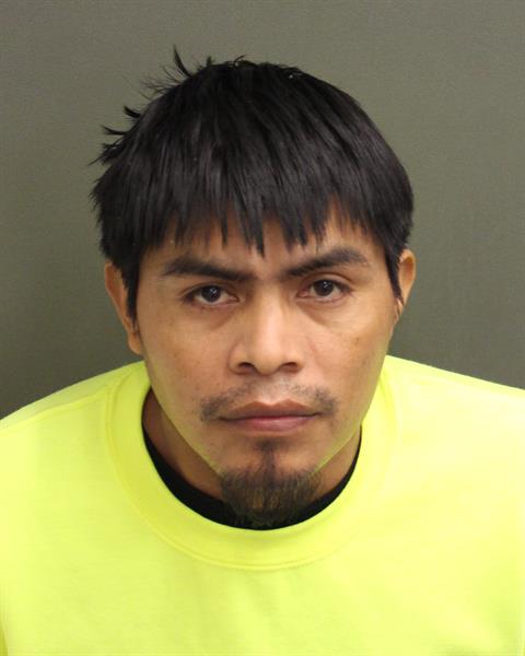  RUDY RAMOSGARCIA Mugshot / County Arrests / Orange County Arrests