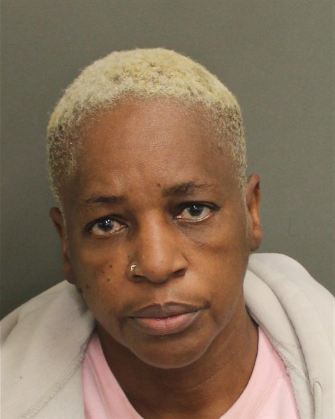  PAMELA MCDUFFIE Mugshot / County Arrests / Orange County Arrests
