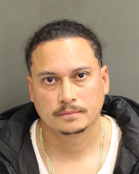  CHRISTIAN JAVIER ANRIAUBARTE Mugshot / County Arrests / Orange County Arrests