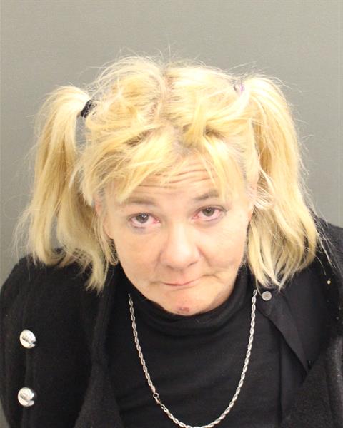  JULIE CAROL DORT Mugshot / County Arrests / Orange County Arrests