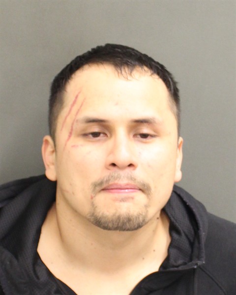  LUIS ALBERTO PEREZ Mugshot / County Arrests / Orange County Arrests