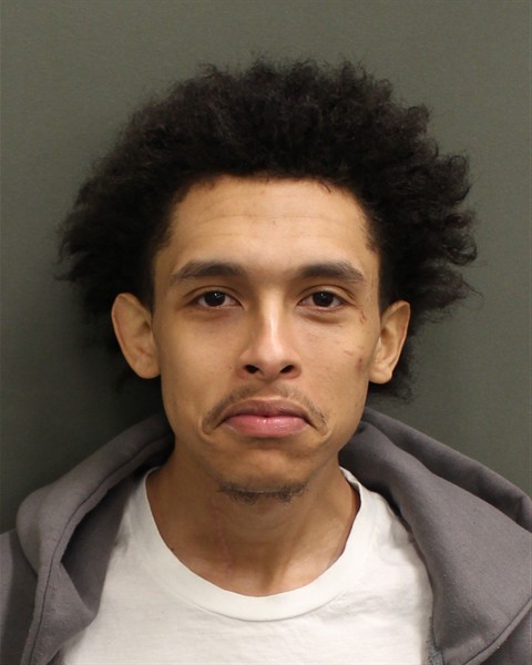  JAIDEN NICKOLAS FERGUSON Mugshot / County Arrests / Orange County Arrests