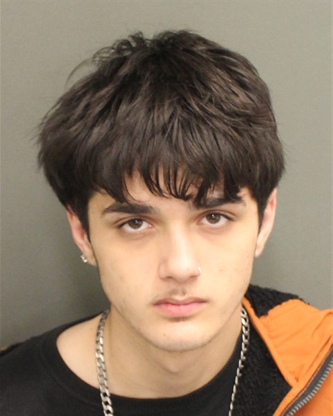  JAKE ALEXANDER FELIUCAPOTE Mugshot / County Arrests / Orange County Arrests