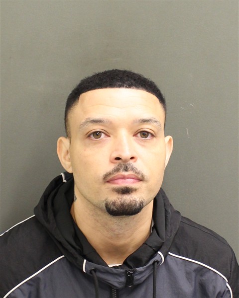 SIMON HARRY FRANCIS Mugshot / County Arrests / Orange County Arrests