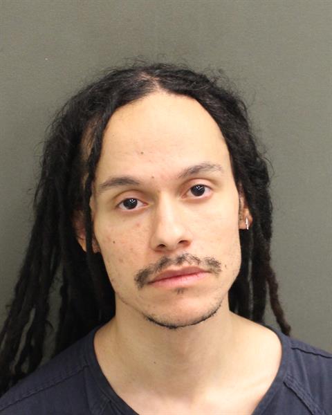  DAVID ALEXANDER LEWIS Mugshot / County Arrests / Orange County Arrests