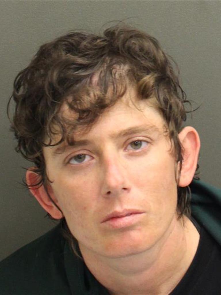  DOMINIQUE ELIZABETH CARULLI Mugshot / County Arrests / Orange County Arrests