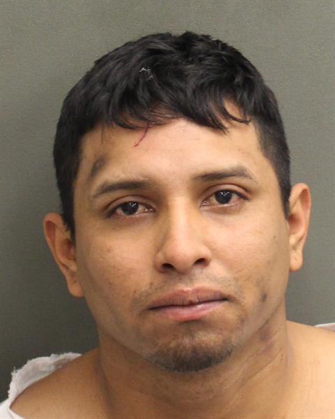  LEONARDO JOSE MARCANOPAZ Photo Image