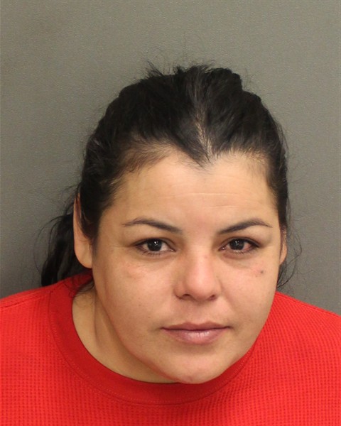  INGRID ALVAREZALVAREZ Mugshot / County Arrests / Orange County Arrests