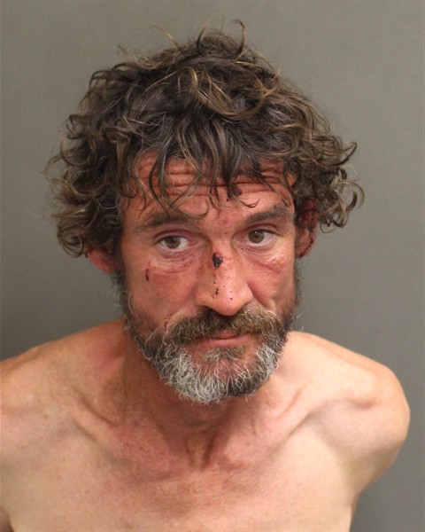  DAVID WESLEY SCHEIBEL Mugshot / County Arrests / Orange County Arrests