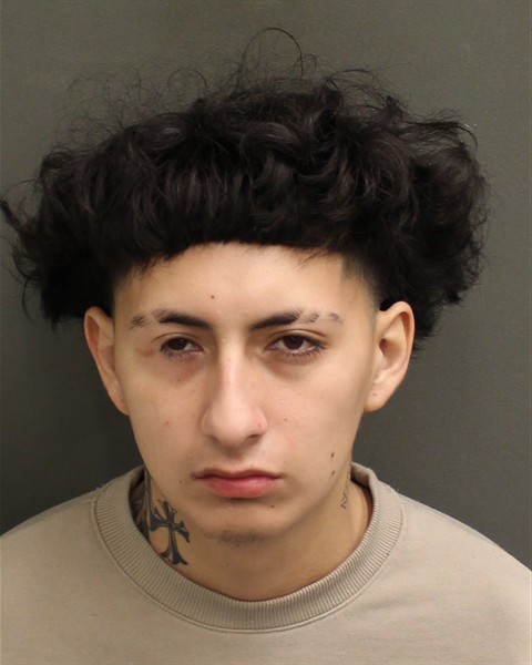  GIULLIANNO ALVAREZ Mugshot / County Arrests / Orange County Arrests