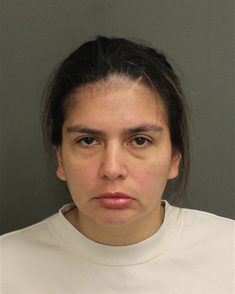  PAOLA ANDREA VASQUEZMORCILLO Mugshot / County Arrests / Orange County Arrests