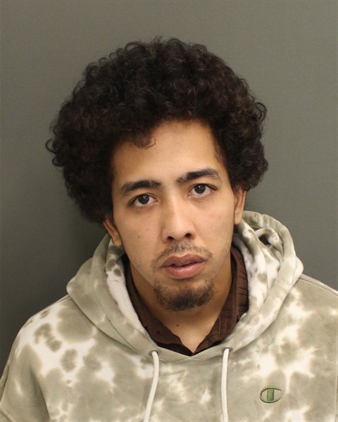  LUIS GARCIACARNARIO Mugshot / County Arrests / Orange County Arrests