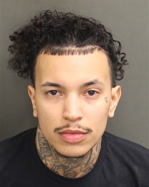  JOSHUA EDWIN HUDSON Mugshot / County Arrests / Orange County Arrests