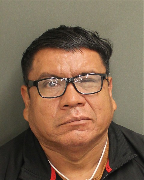  INOCENTE LOPEZSIS Mugshot / County Arrests / Orange County Arrests