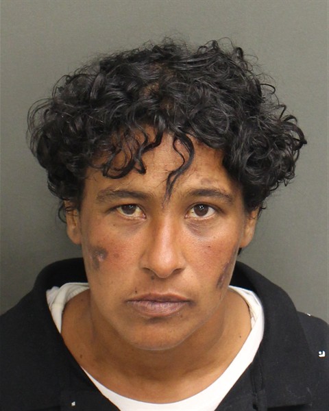  YARITZA MORALESFLORES Mugshot / County Arrests / Orange County Arrests