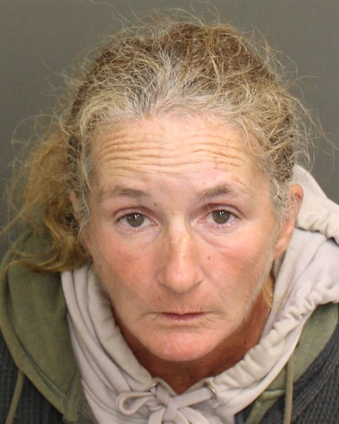  JENNIFER ELIZABETH HENSON Mugshot / County Arrests / Orange County Arrests