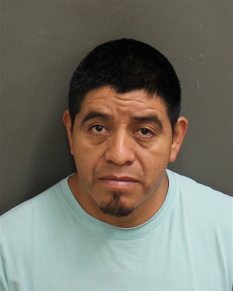  MARTIN MATEOBOP Photo Image