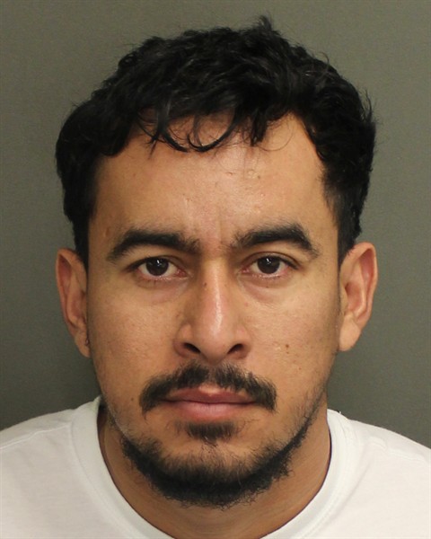  CRISTHIAN JOSE BARDALESMEJIA Mugshot / County Arrests / Orange County Arrests