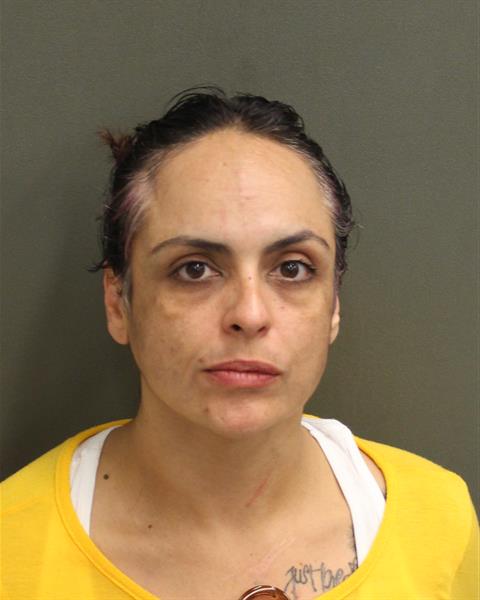  DELIA DIANE RODRIGUEZRIVERA Mugshot / County Arrests / Orange County Arrests