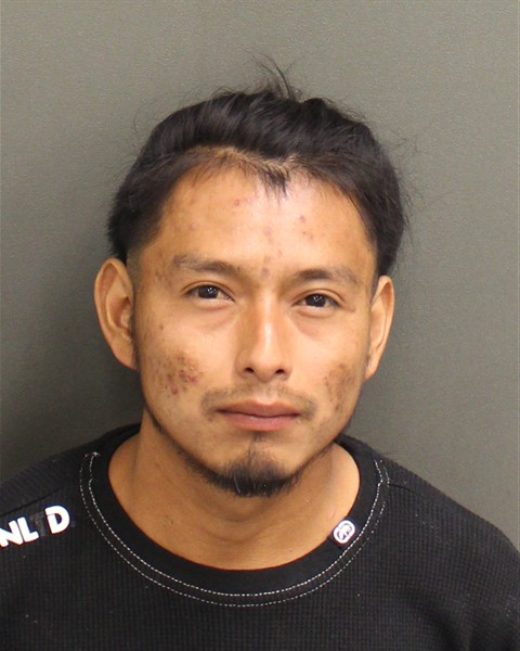  EDY XONNA Photo Image