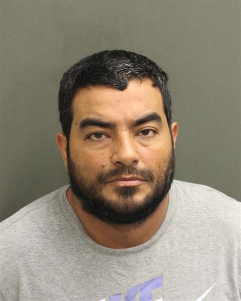  LUIS GABRIEL PARRAHOYOS Mugshot / County Arrests / Orange County Arrests