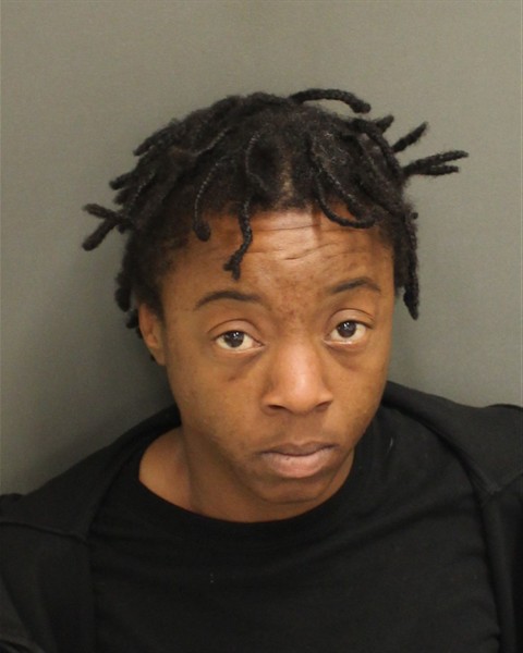  SHAMMILL ASHLEYRENEA LANIGAN Mugshot / County Arrests / Orange County Arrests