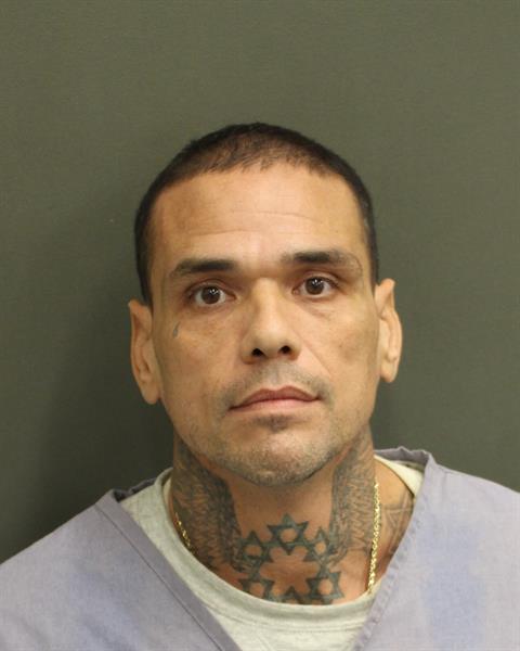  HECTOR EDITH GINEL Mugshot / County Arrests / Orange County Arrests