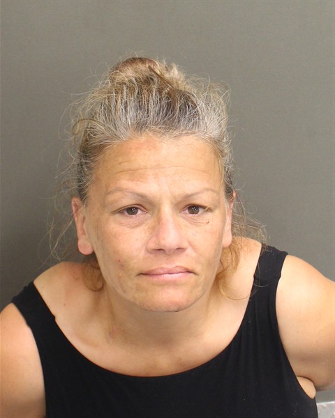  JAMIE ANDREA HARTMAN Mugshot / County Arrests / Orange County Arrests