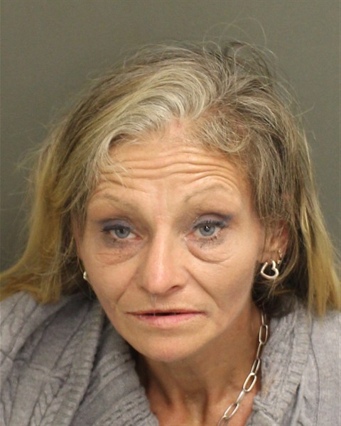  MICHELLE SHANNON HUDSON Mugshot / County Arrests / Orange County Arrests