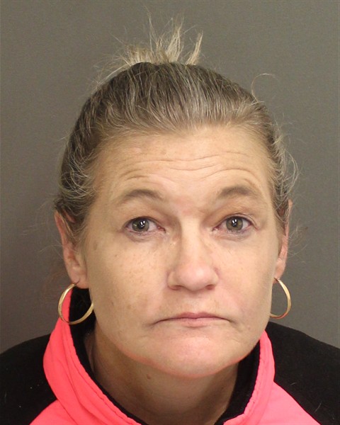  HEATHER NICOLE HOBIN Mugshot / County Arrests / Orange County Arrests