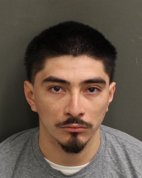  ALBERT VILLASANTANA Photo Image