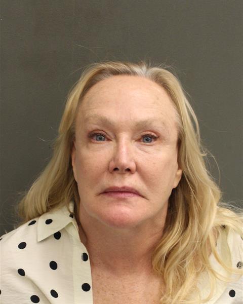  GLORIA JILL BOCCHINO Mugshot / County Arrests / Orange County Arrests