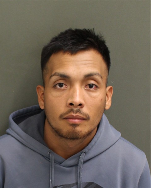  REY DAVID BORGESHERNANDEZ Mugshot / County Arrests / Orange County Arrests