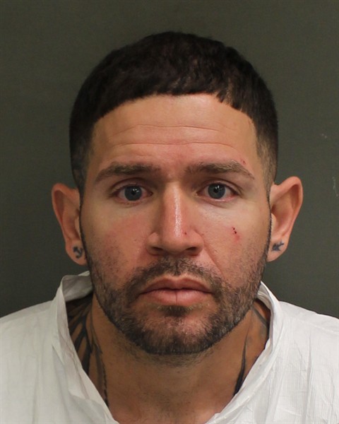  JEAN GABRIEL BORJAGILDELAMADR Mugshot / County Arrests / Orange County Arrests